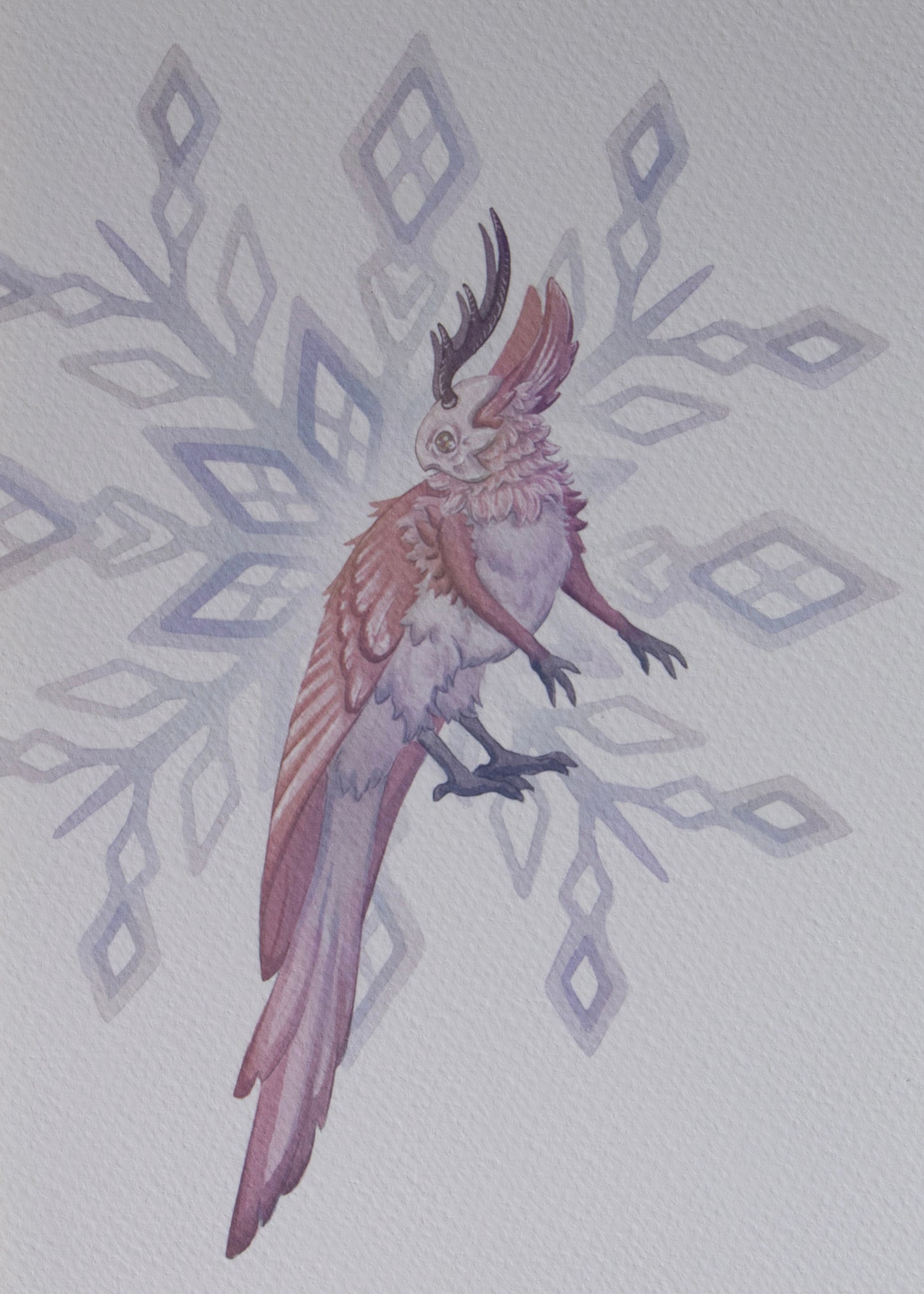 Snow Sprite 5x7 Archival Print